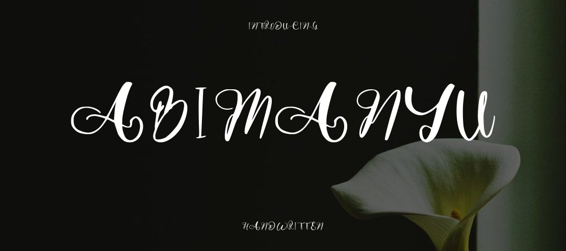 Abimanyu Font