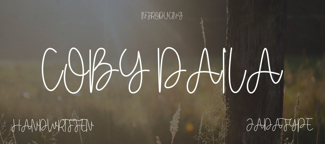 Coby Daila Font