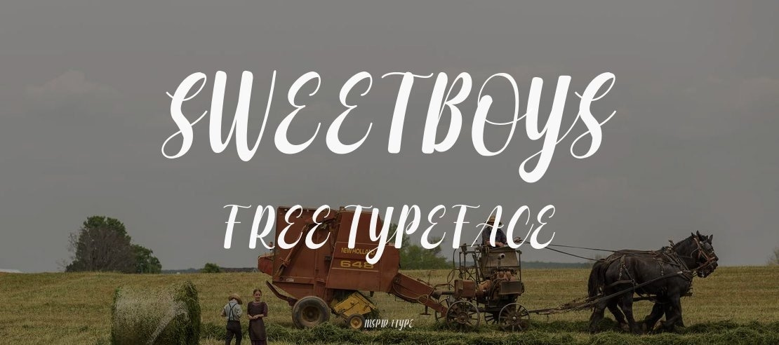 Sweetboys FREE Font