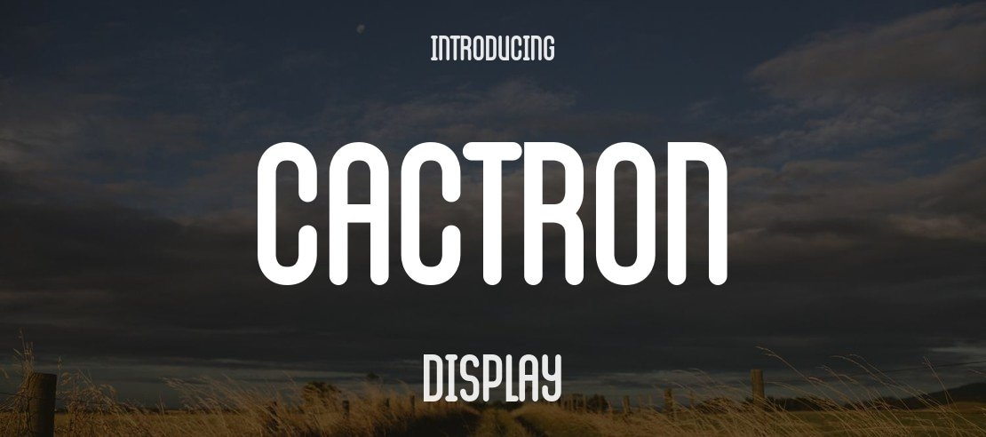 Cactron Font Family