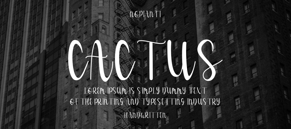 Cactus Font