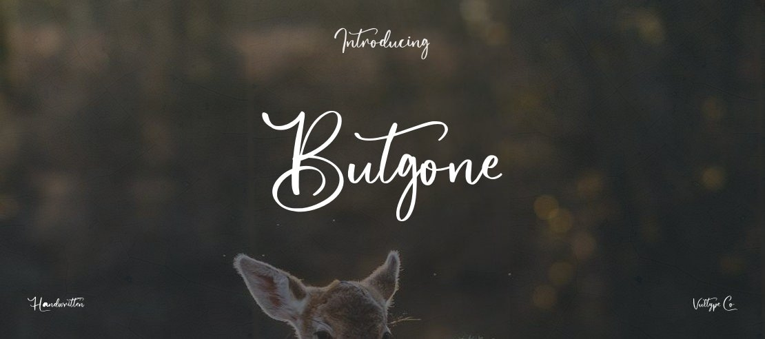 Butgone Font