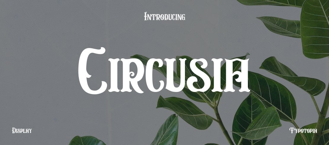 Circusia Font