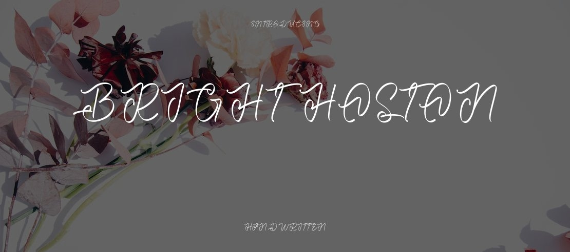 Bright Hoston Font