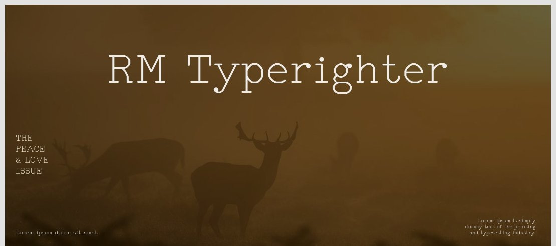 RM Typerighter Font