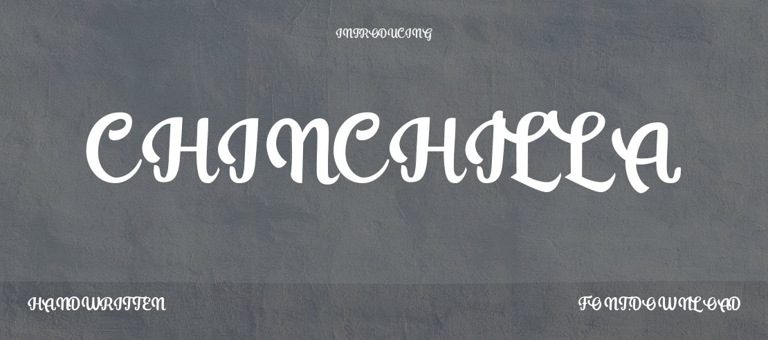 Chinchilla Font