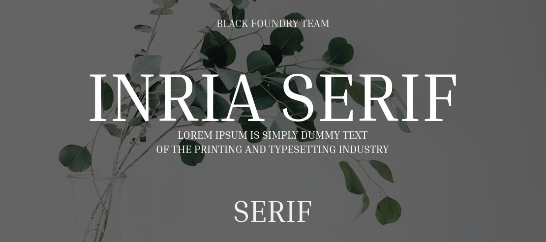 Inria Serif Font Family