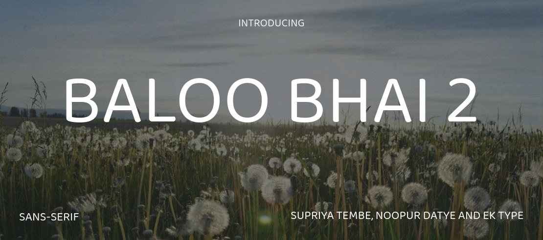 Baloo Bhai 2 Font Family