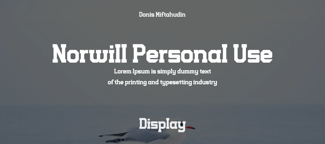 Norwill Personal Use Font