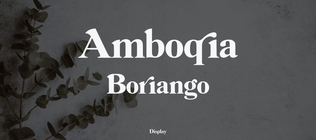 Amboqia Boriango Font