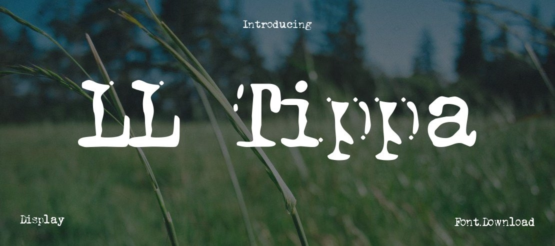 LL Tippa Font