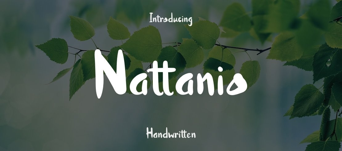 Nattanio Font