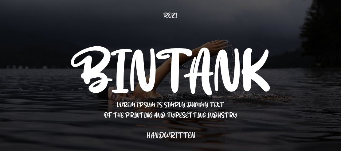 Bintank Font