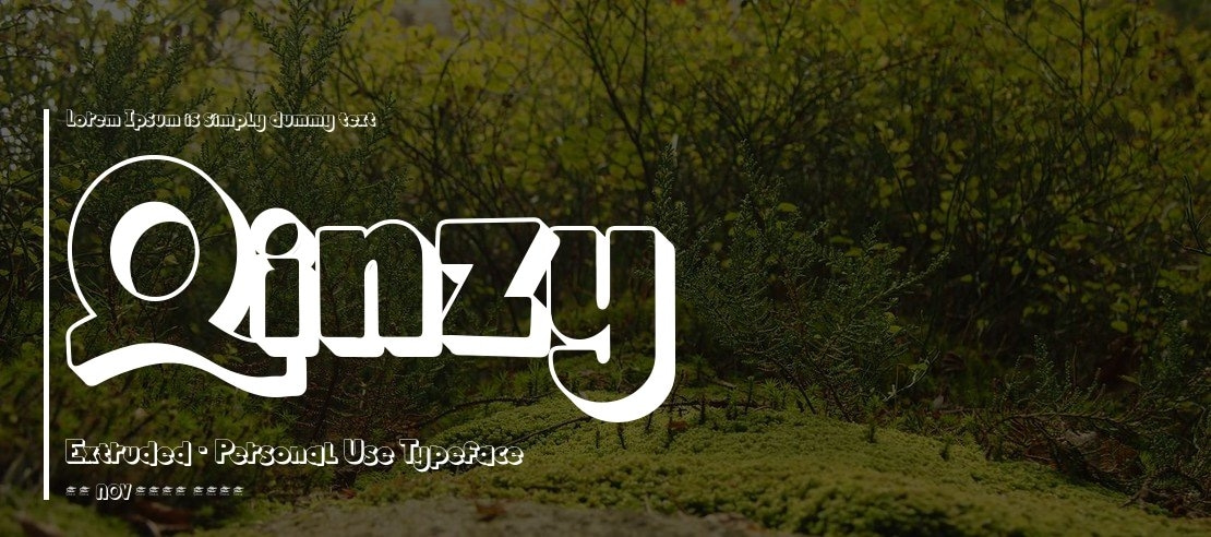 Qinzy Extruded - Personal Use Font Family