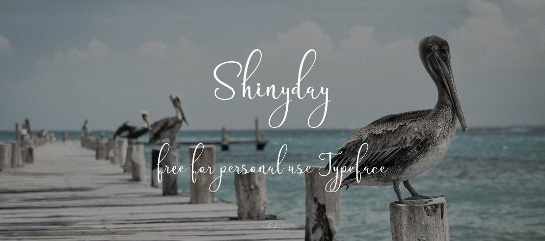 Shinyday free for personal use Font Family