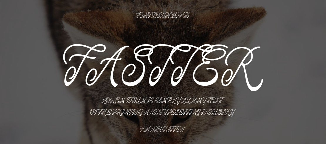 Fastter Font