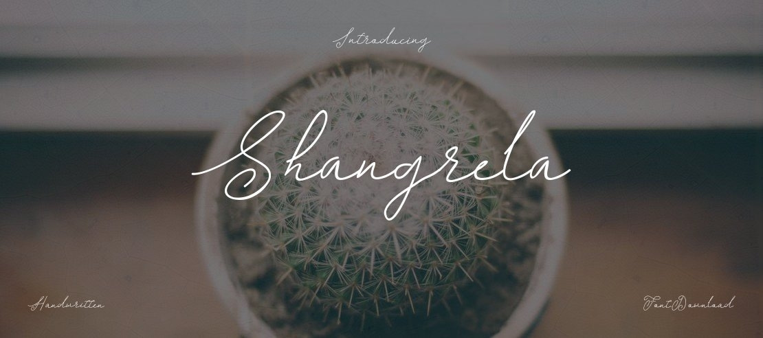 Shangrela Font