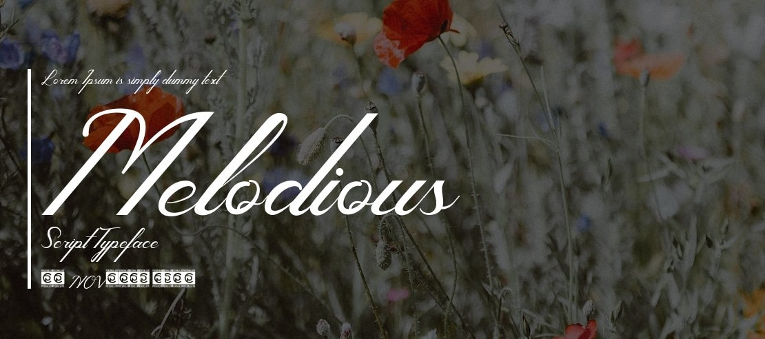 Melodious Script Font