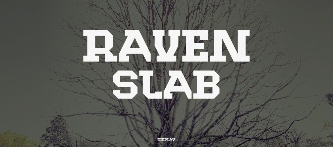 Raven Slab Font