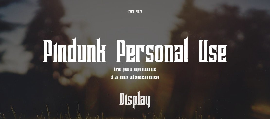 Pindunk Personal Use Font