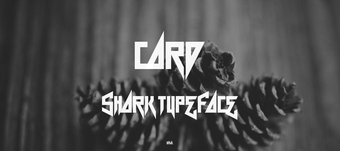 Card Shark Font