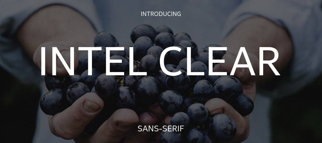 Intel Clear Font Family