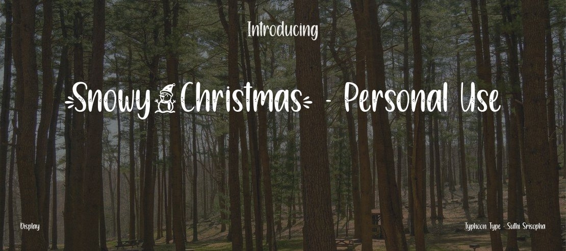 Snowy Christmas - Personal Use Font