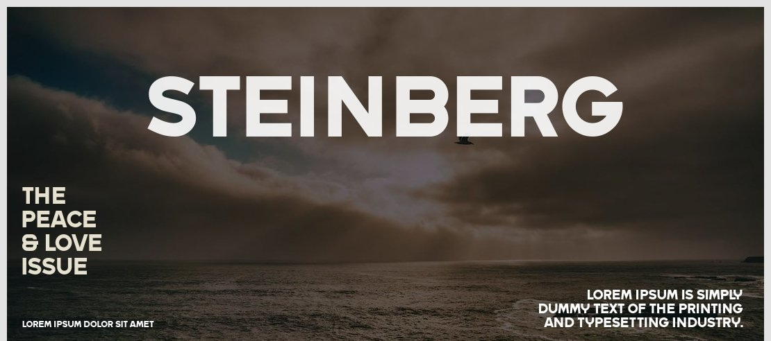 Steinberg Font