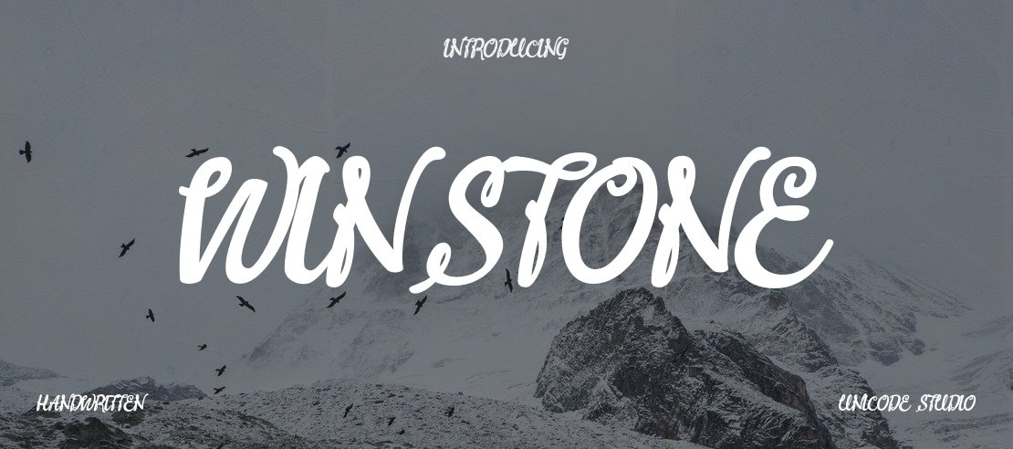 Winstone Font