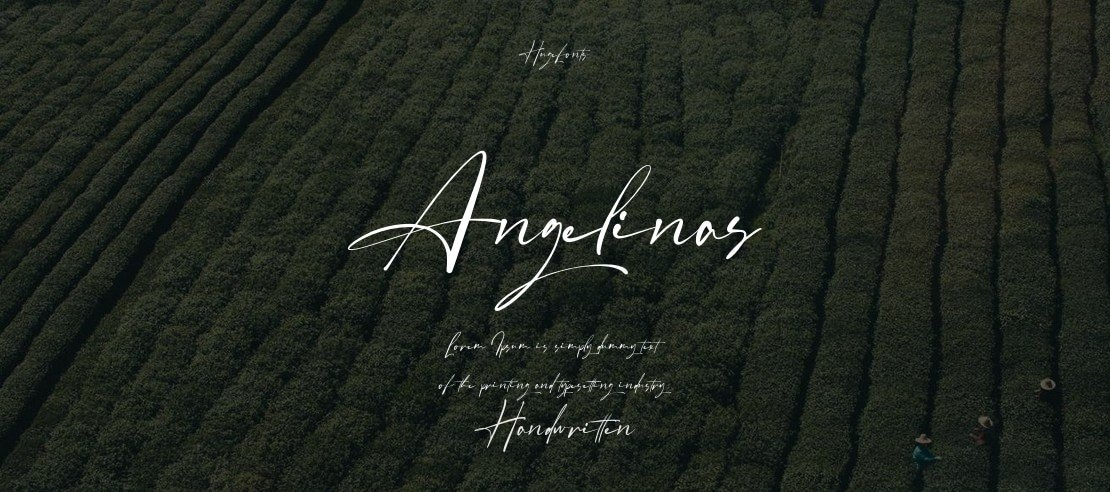 Angelinas Font