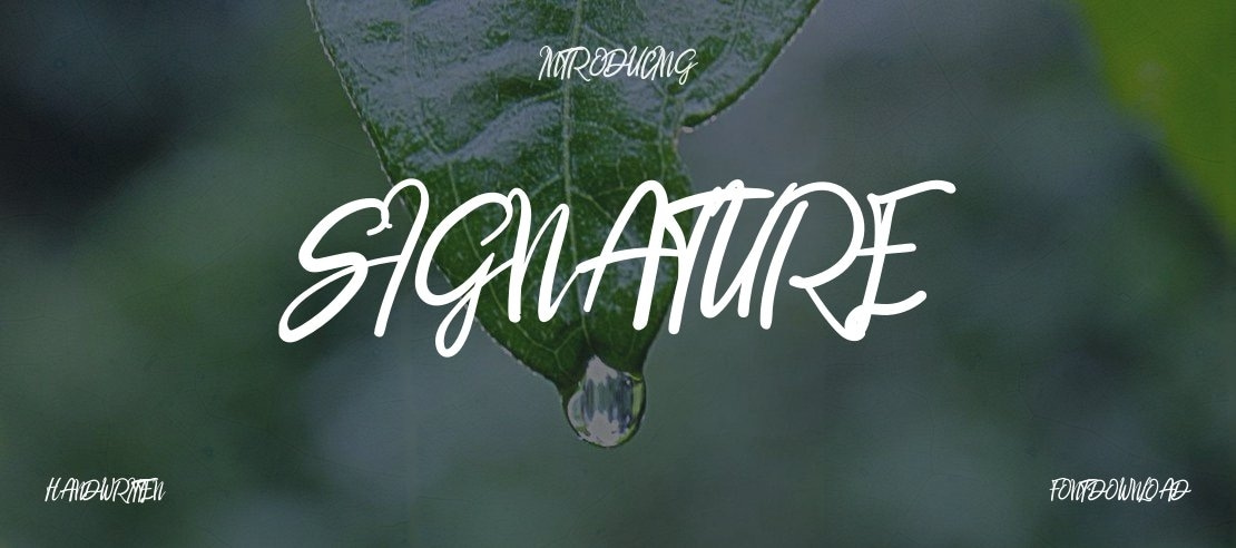 Signature Font