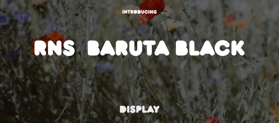 RNS  Baruta Black Font