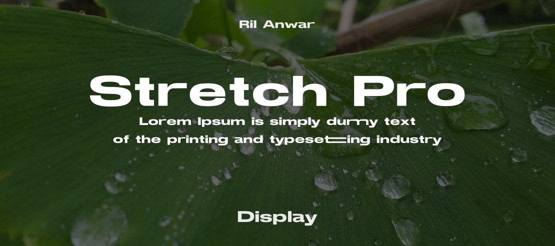 The StretchPRO —