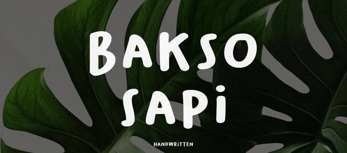 Bakso Sapi Font