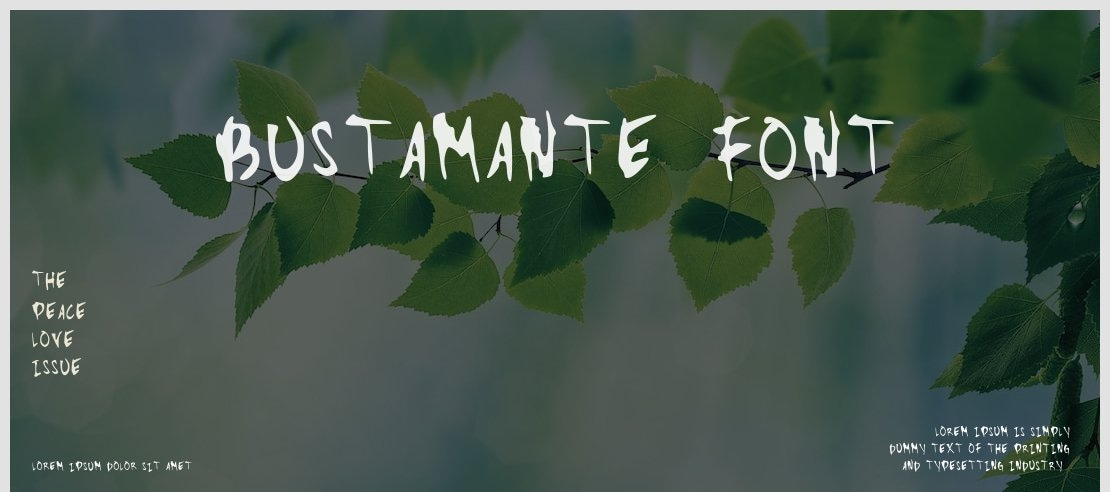 Bustamante_font Font