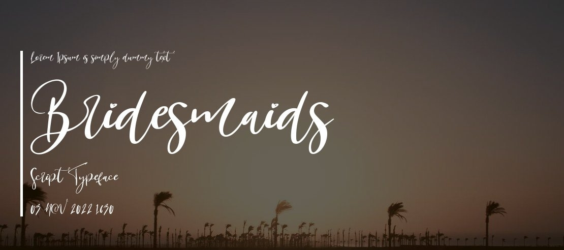 Bridesmaids Script Font