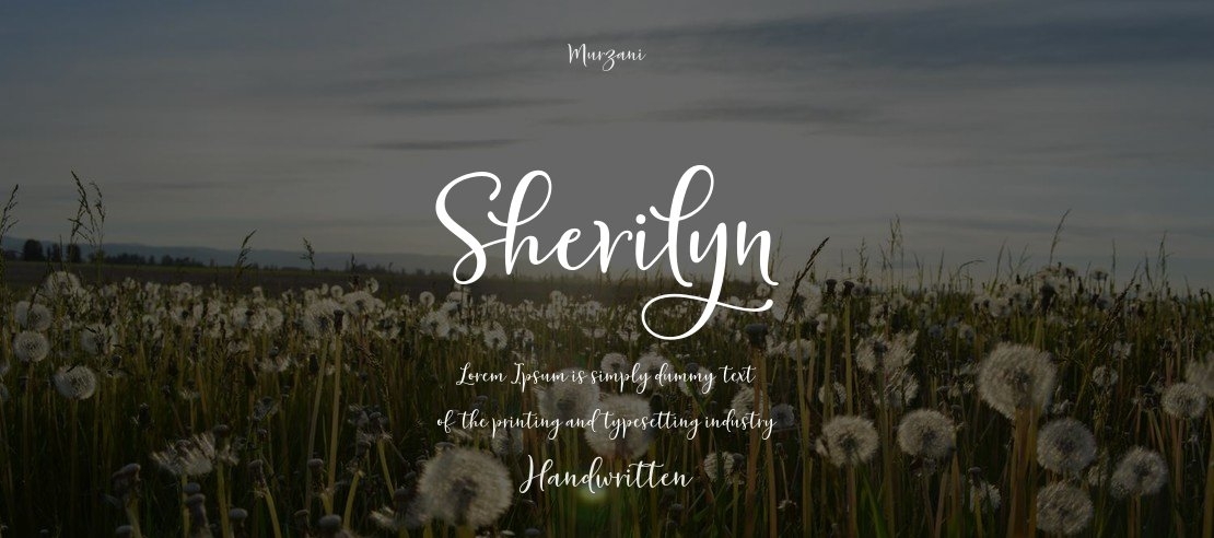Sherilyn Font
