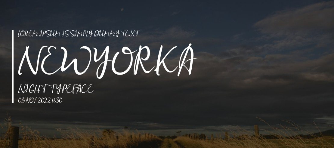 Newyorka Night Font