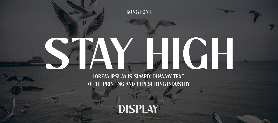 Stay High Font Family