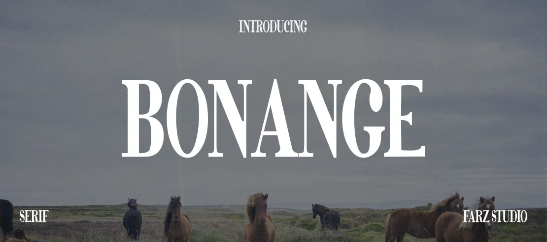 Bonange Font