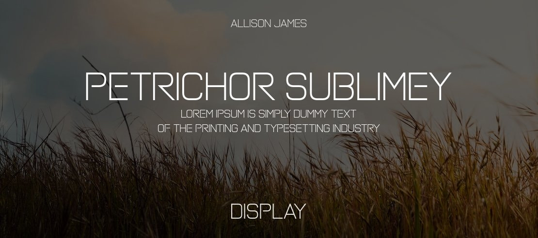 Petrichor Sublimey Font