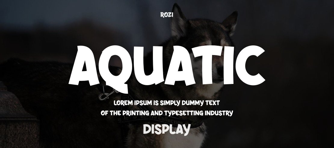 Aquatic Font