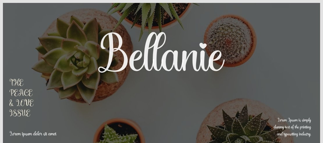 Bellanie Font