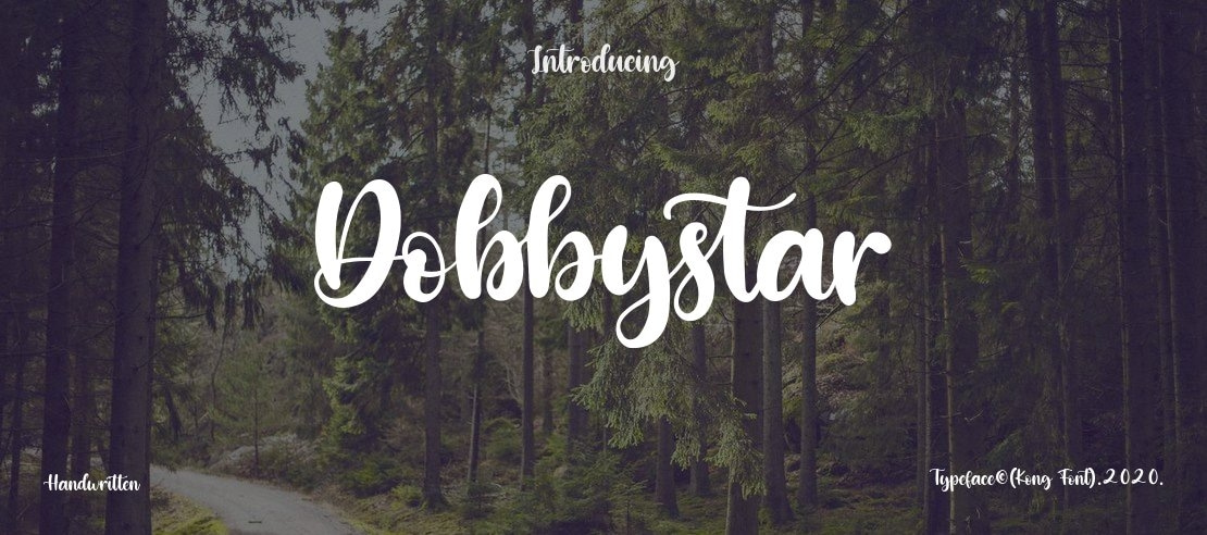 Dobbystar Font Family