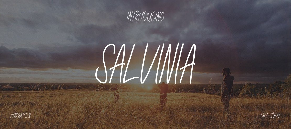 Salvinia Font