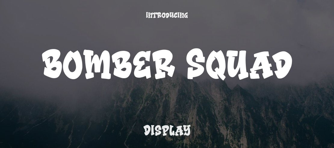 Bomber Squad Font Family