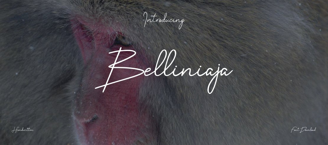 Belliniaja Font