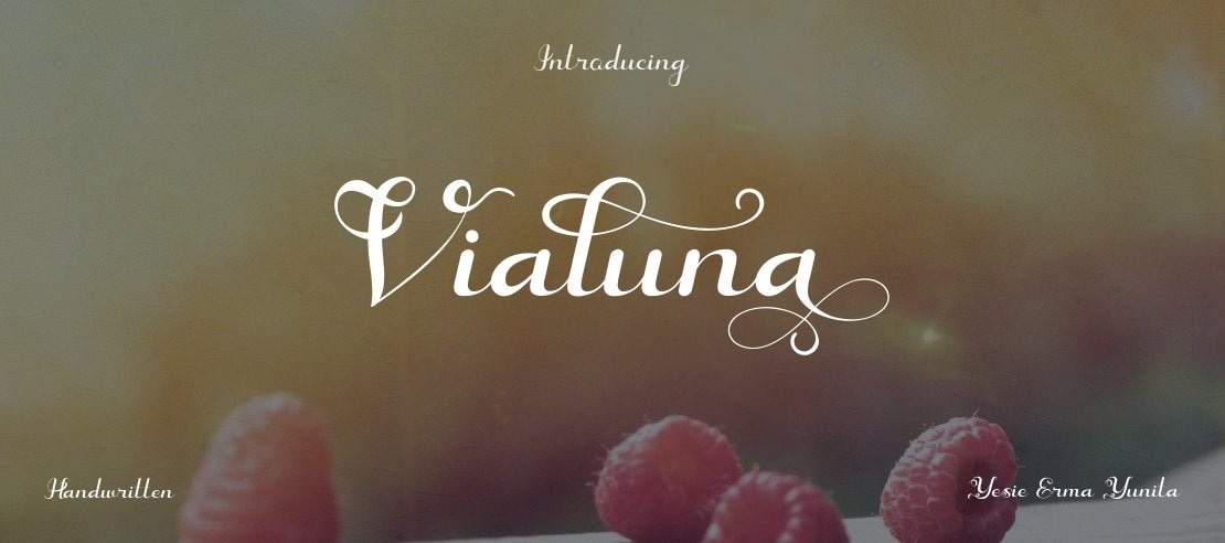 Vialuna Font