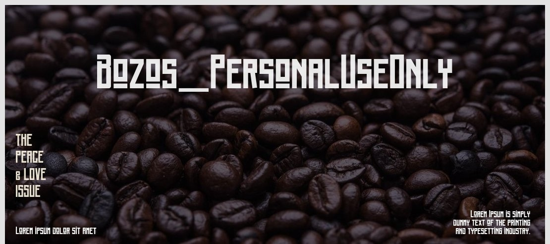 Bozos_PersonalUseOnly Font