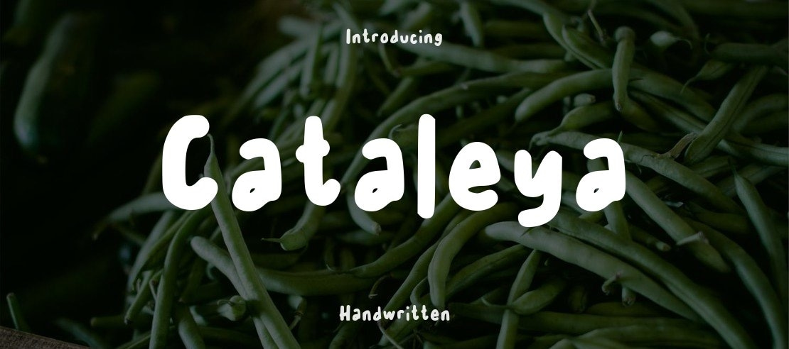 Cataleya Font